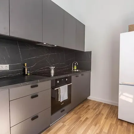 Apartment Cozy 2-bedroom Oasis In Central Riga