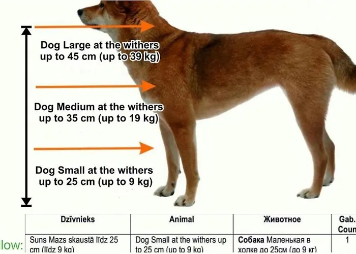 Cozy 2-bedroom Oasis In Dzīvoklis Riga